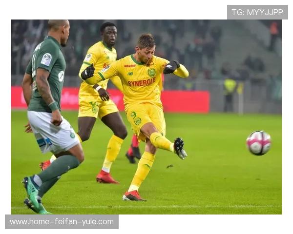 南特俱乐部全景解析与球队发展历程深度剖析